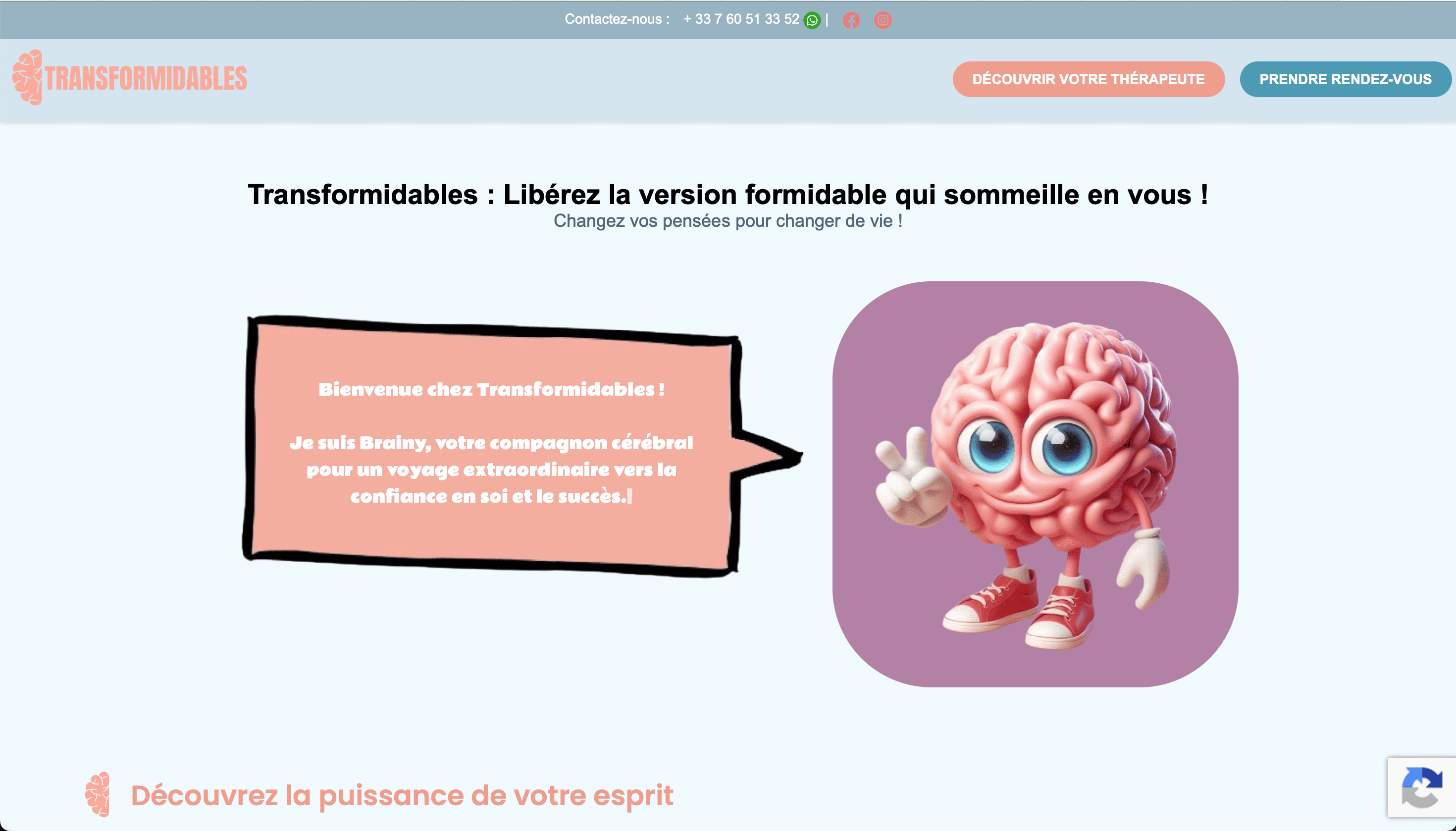 Capture du projet Transformidables